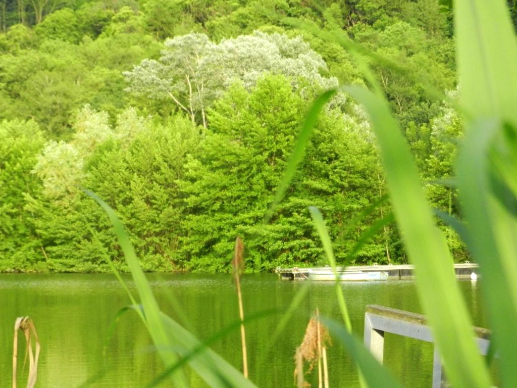 Gite Les Platanes Sainte-Helene-du-Lac Exterior foto